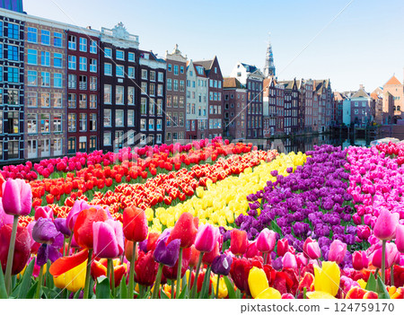 Houses of Amstardam, Netherlands 124759170