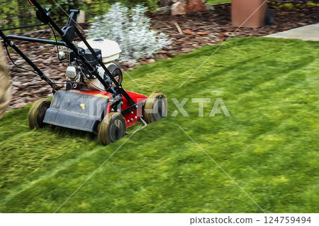 Electric lawn mower machine in garden on the grass. Garden and lawn care theme. Electric lawn mower machine in garden on the grass. Garden and lawn care theme. 124759494