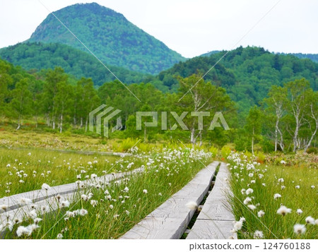 從長野縣山之內町志賀高原的田野畑沼望去 從長野縣山之內町志賀高原的田野畑沼望去 124760188
