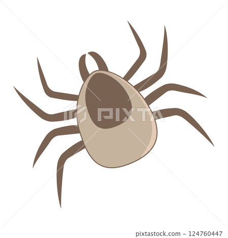 A brown tick with eight legs on white background 124760447