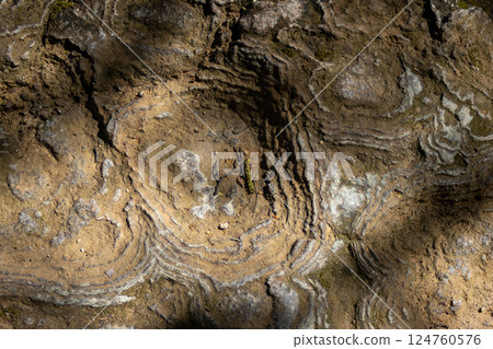Textured soil, with signs of erosion. Textured soil, with signs of erosion. 124760576