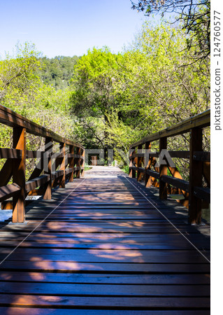Wooden footbridges over the streams of the Krka National Park, Croatia Wooden footbridges over the streams of the Krka National Park, Croatia 124760577
