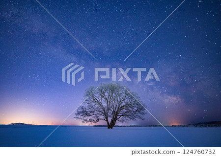 北海道的冬天：春天的榆樹和銀河 124760732