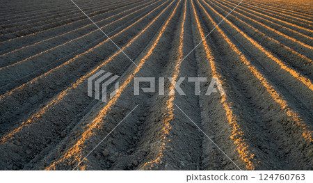 a freshly plowed furrow in a field stretching into the distance a freshly plowed furrow in a field stretching into the distance 124760763