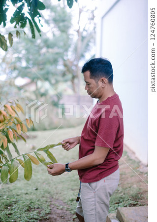 Man inspecting the leaves in garden, focusing on plant health and growth 124760805