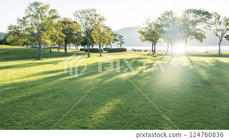 Morning sunlight shining onto the grass in the park 124760836