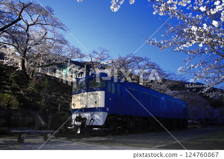 EF64-18 electric locomotive quietly standing surrounded by cherry blossoms under the twilight sky_Photo taken on April 5, 2025 EF64-18 electric locomotive quietly standing surrounded by cherry blossoms under the twilight sky_Photo taken on April 5, 2025 124760867