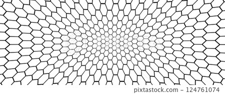 Wraped soccer or fishing net. Wire or lace pattern. Black mesh texture isolated on white background. Metallic or fabric fence, fishnet, cage or lattice structure. Vector graphic Illustration 124761074