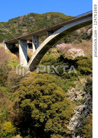 Bridge and mountain cherry blossoms - Nanayama Village Bridge and mountain cherry blossoms - Nanayama Village 124761669