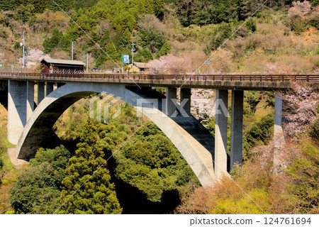 Bridge and mountain cherry blossoms - Nanayama Village 124761694