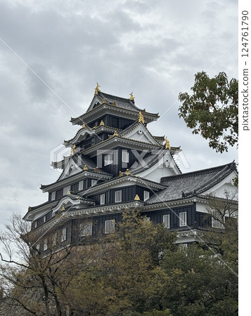 Okayama Castle tower shining against the spring sky 124761790