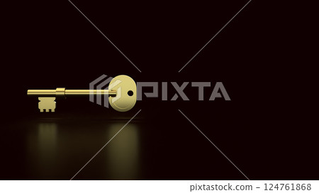 The Gold key for security or business concept 3d Rendering. The Gold key for security or business concept 3d Rendering. 124761868