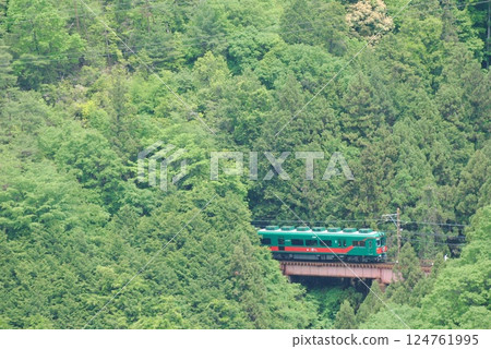 南海電鐵特快列車「天空」沿著深綠色道路的陡坡向高野山方向行駛 南海電鐵特快列車「天空」沿著深綠色道路的陡坡向高野山方向行駛 124761995