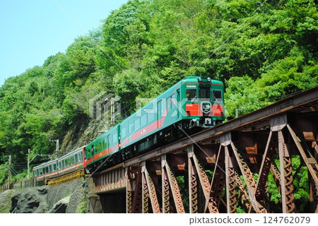 Nankai Electric Railway's tourist express train "Tenkuu" crossing an iron bridge between the deep green mountains Nankai Electric Railway's tourist express train "Tenkuu" crossing an iron bridge between the deep green mountains 124762079