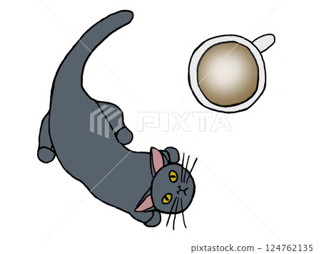 Cafe latte and gray cat 124762135