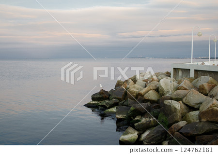 Sea view with stones and seagull sitting on them from Sopot pier in Poland 124762181