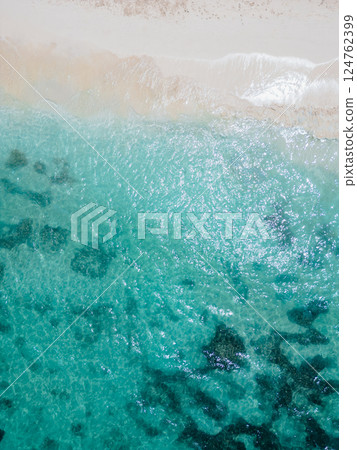 Emerald green beach seen from a drone 124762399