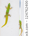 壁虎爬牆 124762400