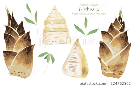 A set of illustration materials of cute bamboo shoots roughly drawn in watercolor 124762502