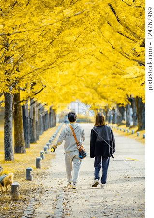 《學習森林》在銀杏樹下噴藥 124762969