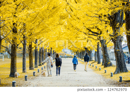 <Learning Forest> Spraying under the rows of ginkgo trees <Learning Forest> Spraying under the rows of ginkgo trees 124762970