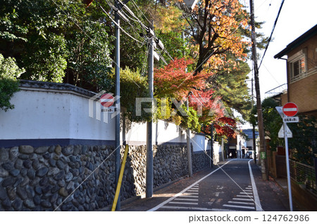 杉併區荻窪二丁目住宅區的紅葉 124762986