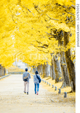 <Forest of Learning> Stroll along the ginkgo tree-lined path <Forest of Learning> Stroll along the ginkgo tree-lined path 124763052