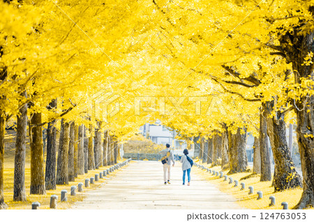 <學習之林> 漫步銀杏樹林蔭道 124763053