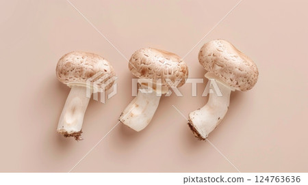 Flat lay white mushroom organic natural vegetable copy space isolated 124763636