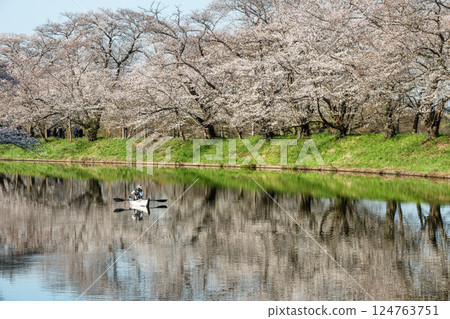 Fukuoka Weir with cherry blossoms in full bloom in Tsukubamirai City, Ibaraki Prefecture Fukuoka Weir with cherry blossoms in full bloom in Tsukubamirai City, Ibaraki Prefecture 124763751
