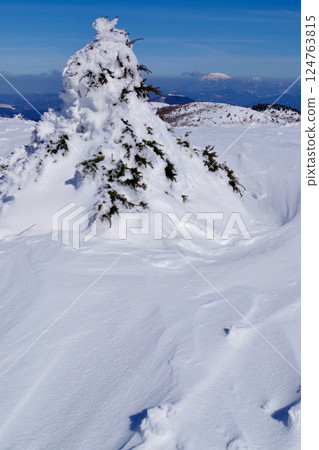 View from the snowy summit of Mt. Iwahiyama, looking towards Mt. Daisen 124763815