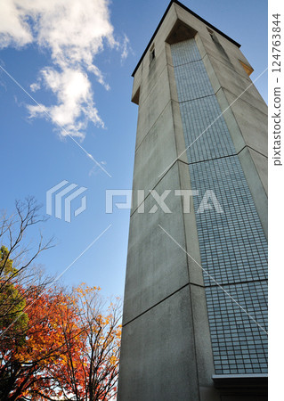 Autumn leaves at Aichi Health Forest Park 124763844