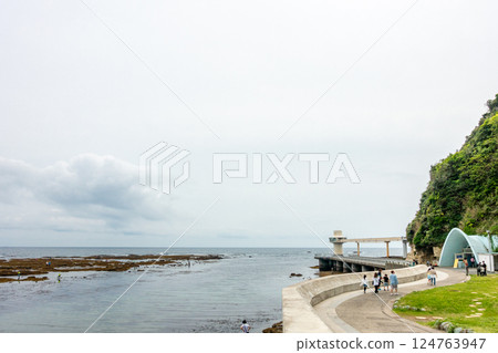 Katsuura Underwater Park Katsuura Underwater Park is a rocky area where sea urchins and abalone live. 124763947