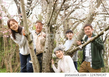 大圖：一家五口一邊賞櫻，一邊看著紀念樹，慶祝孫子入學 124764147