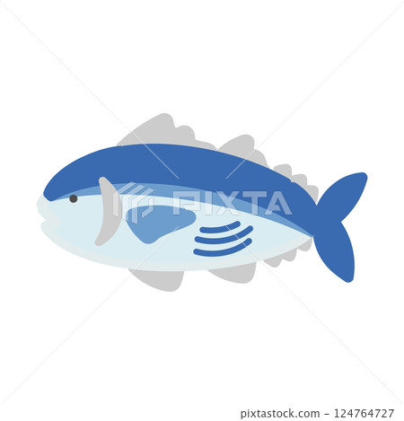 Bonito illustration 124764727
