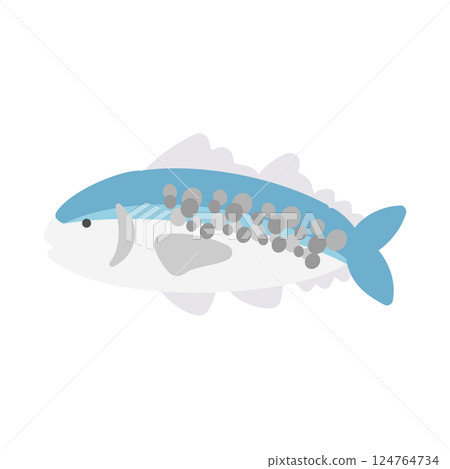 Sawara illustration Sawara illustration 124764734