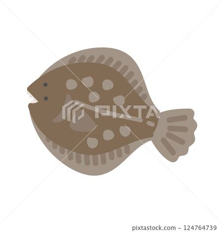 比目魚的插圖 比目魚的插圖 124764739