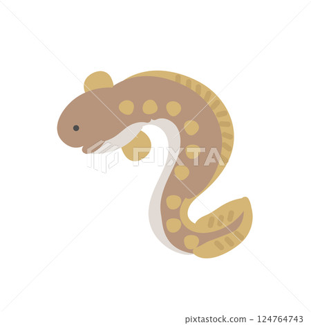 星鰻插圖 星鰻插圖 124764743