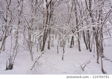 汽車在冬季雪中行駛 汽車在冬季雪中行駛 124764791