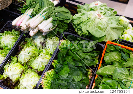 Green chard, spinach and lettuce in greengrocery Green chard, spinach and lettuce in greengrocery 124765194