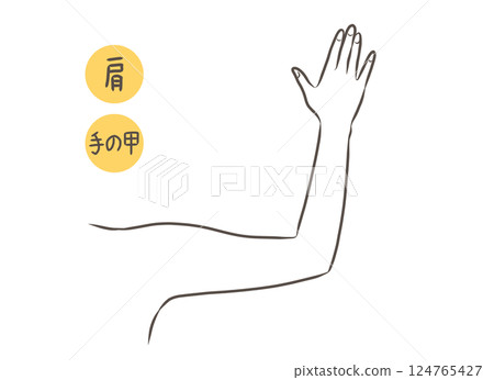 Female arm parts illustration Female arm parts illustration 124765427