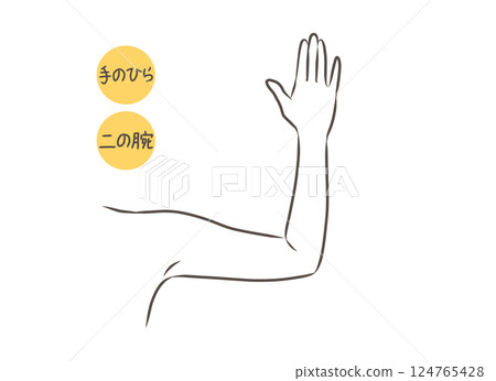 女性手臂部位圖 124765428