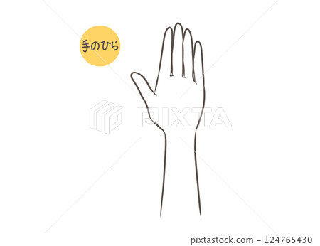 Illustration of female palm parts 124765430