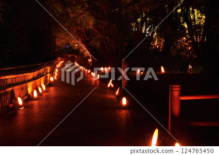 Yusui的Maruike 124765450