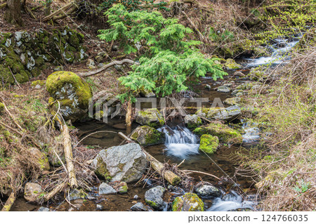 The clear stream of Kurama, Kyoto, Kyoto City 124766035