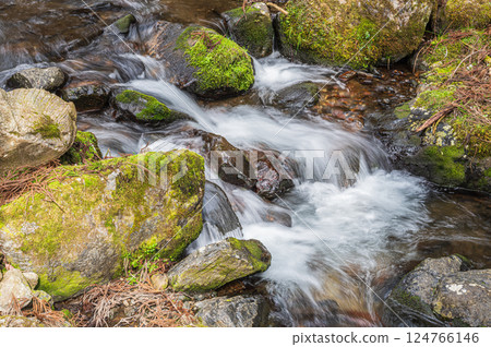 The clear stream of Kurama, Kyoto, Kyoto City 124766146