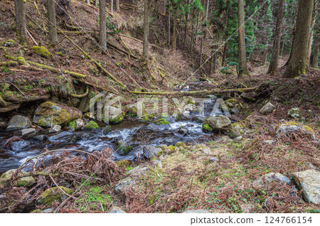 京都市鞍馬川,流經針葉林的清澈溪流 京都市鞍馬川,流經針葉林的清澈溪流 124766154