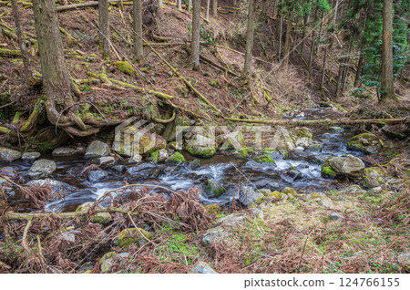 京都市鞍馬川，流經針葉林的清澈溪流 124766155