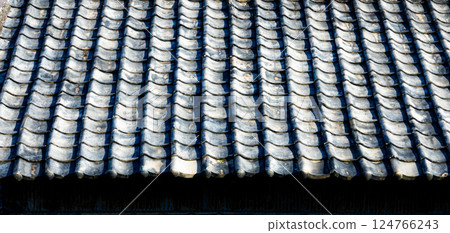The roof of a house on a small island in the Seto Inland Sea The roof of a house on a small island in the Seto Inland Sea 124766243