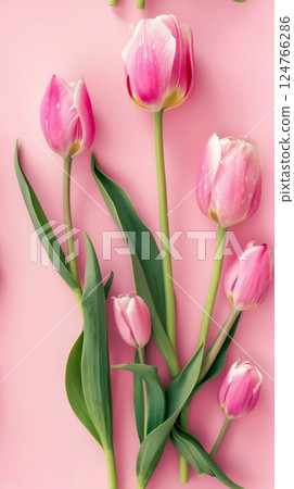 Beauty pink lily blossom flower copy space decoration nature background 124766286